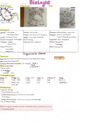 Know Plasmolyse/Deplasmolyse; Biomembran; Diffusion/Osmose; Zellorganelle; Biochemie  thumbnail