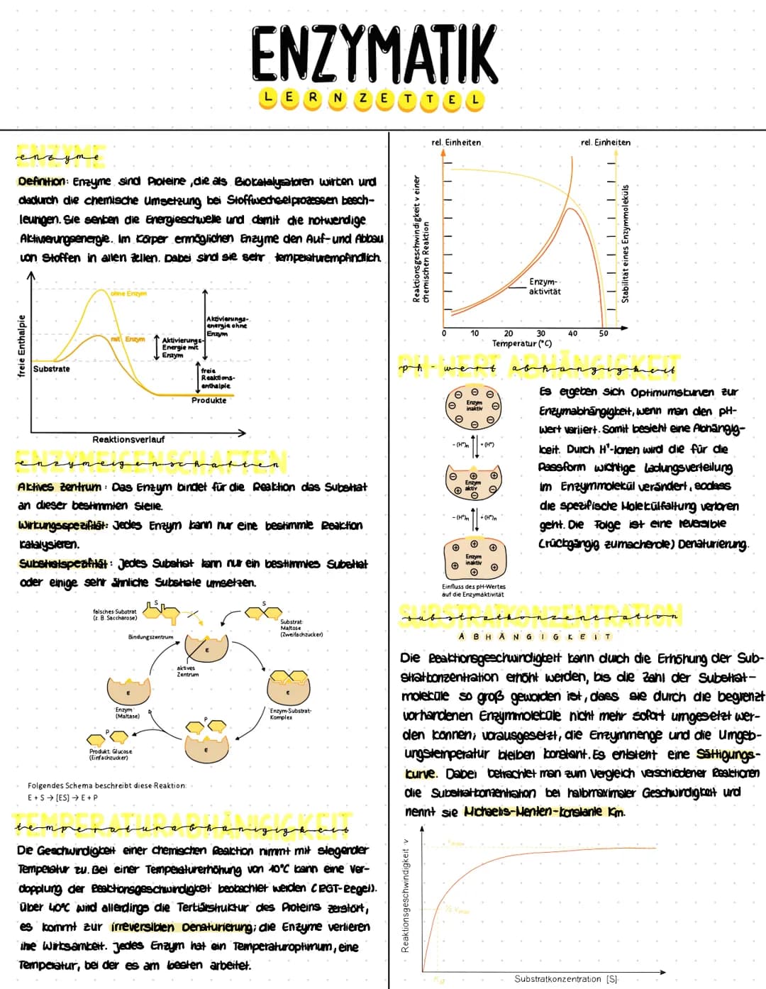 enzyme
Definition: Enzyme sind Proteine, die als Biokatalysatoren wirken und
dadurch die chemische Umsetzung bei Stoffwechselprozessen besch
