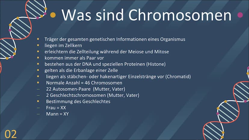 GENETIK
TRISOMIE 21
INKAN Inhaltsverzeichnis
01
02
03
Definition
Was ist Trisomie 21?
Definition
Was sind Chromosomen?
Symptome & Merkmale
W