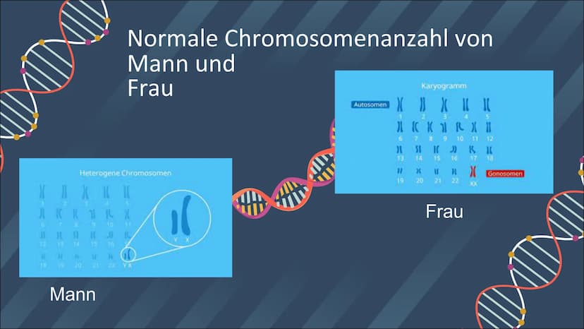 GENETIK
TRISOMIE 21
INKAN Inhaltsverzeichnis
01
02
03
Definition
Was ist Trisomie 21?
Definition
Was sind Chromosomen?
Symptome & Merkmale
W
