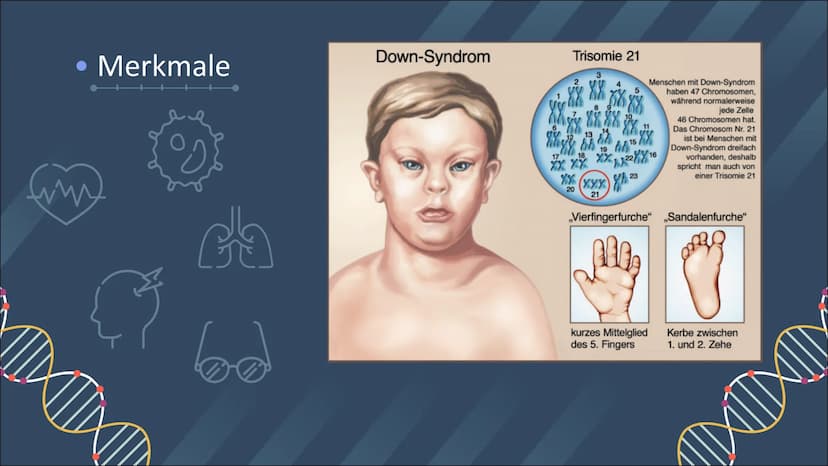 GENETIK
TRISOMIE 21
INKAN Inhaltsverzeichnis
01
02
03
Definition
Was ist Trisomie 21?
Definition
Was sind Chromosomen?
Symptome & Merkmale
W