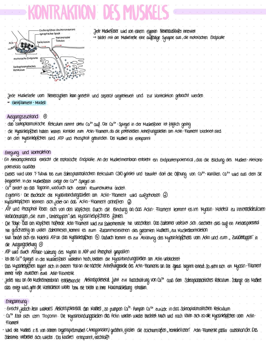 BIOLOGIE
Vergleich von Almungsorganen :
Diffusion: Ausbreitung von Stoffen durch die Eigen bewegung der Teilchen entlang des Konzentrationsg