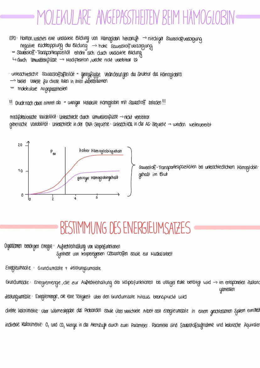 BIOLOGIE
Vergleich von Almungsorganen :
Diffusion: Ausbreitung von Stoffen durch die Eigen bewegung der Teilchen entlang des Konzentrationsg