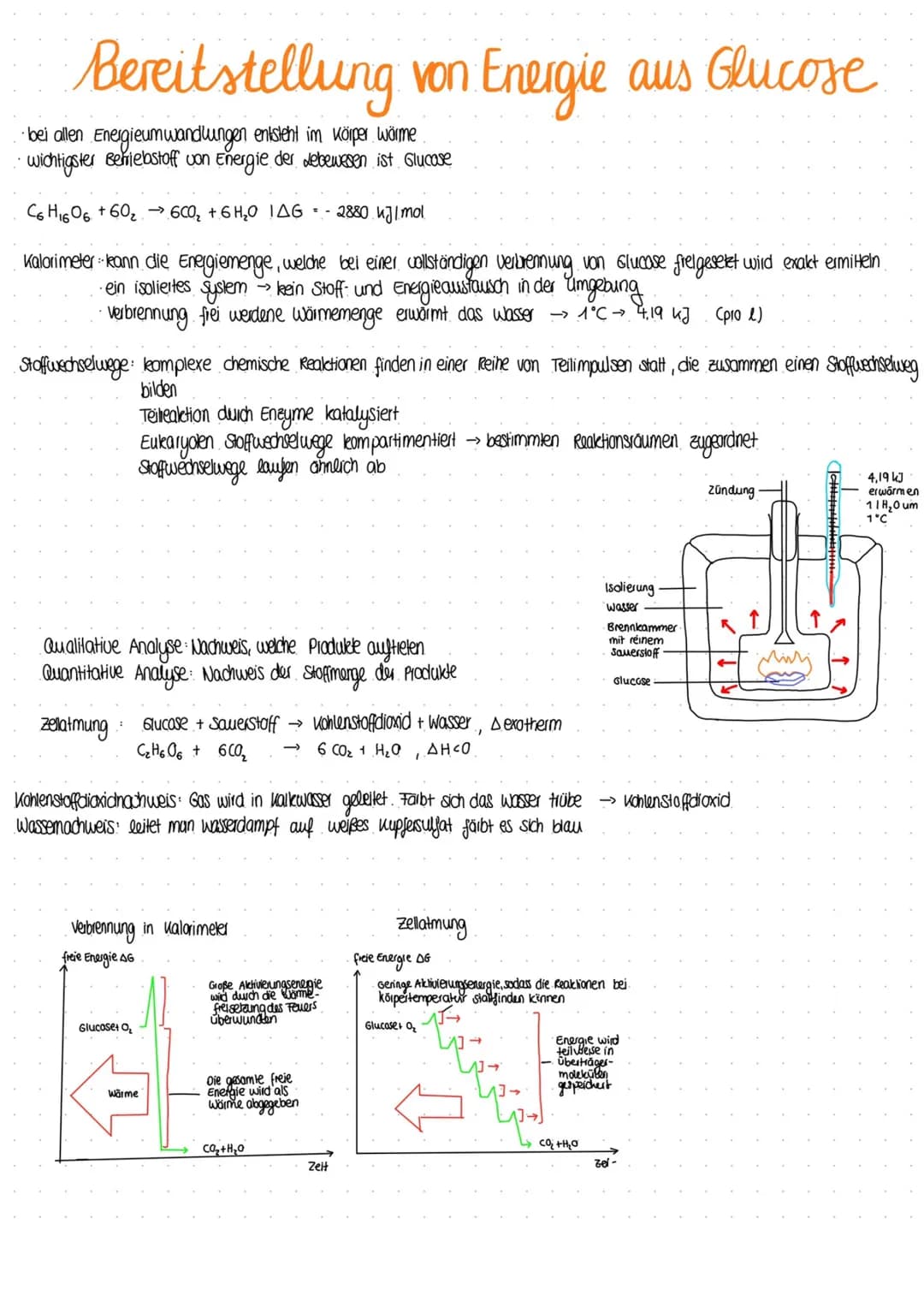 BIOLOGIE
Vergleich von Almungsorganen :
Diffusion: Ausbreitung von Stoffen durch die Eigen bewegung der Teilchen entlang des Konzentrationsg