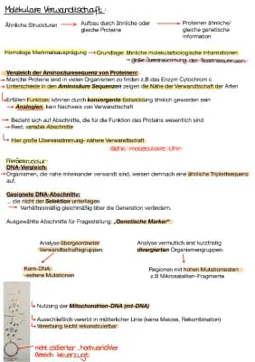 Know Molekulare Verwandtschaft  thumbnail