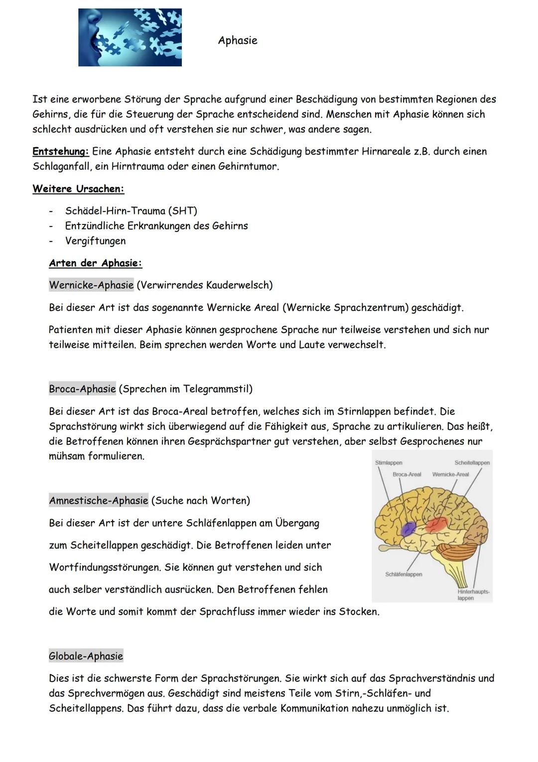 Aphasie
Ist eine erworbene Störung der Sprache aufgrund einer Beschädigung von bestimmten Regionen des
Gehirns, die für die Steuerung der Sp