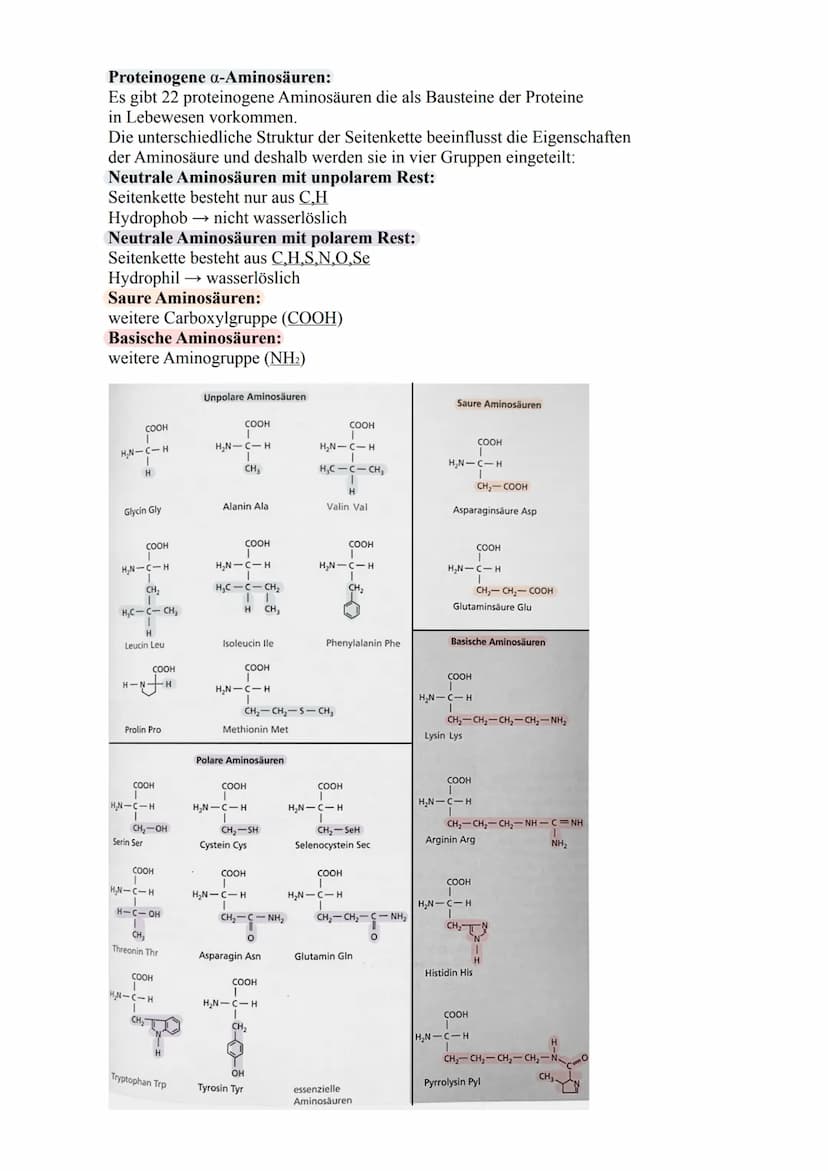 Aminosäure
Strukturformel:
COOH
I
H₂N-C-H
I
R
L-Aminosäure
COOH
I
H-C-NH2
T
R
D-Aminosäure/
kommt in der Natur vor / Aminogruppe ist in der 