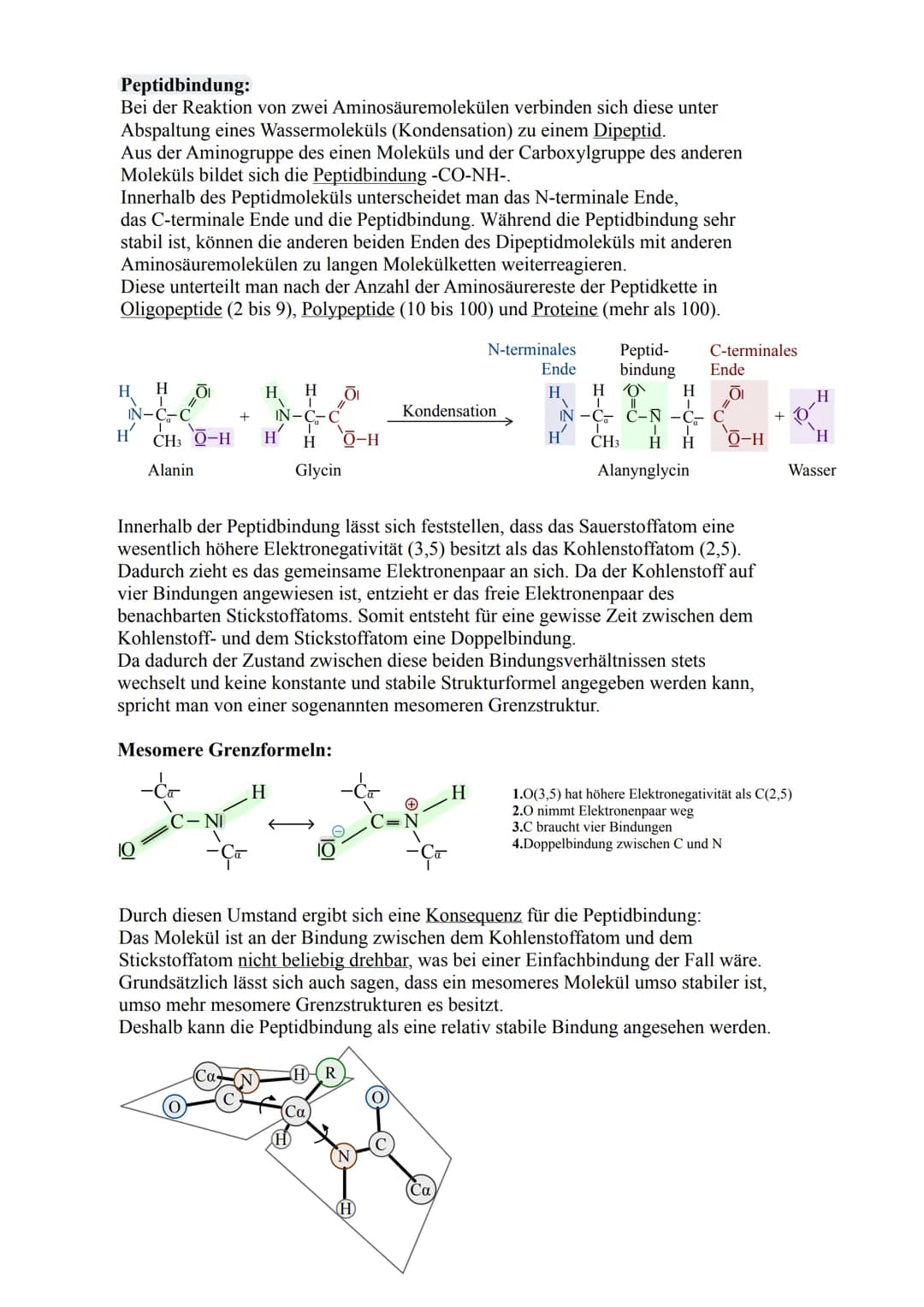 Aminosäure
Strukturformel:
COOH
I
H₂N-C-H
I
R
L-Aminosäure
COOH
I
H-C-NH2
T
R
D-Aminosäure/
kommt in der Natur vor / Aminogruppe ist in der 