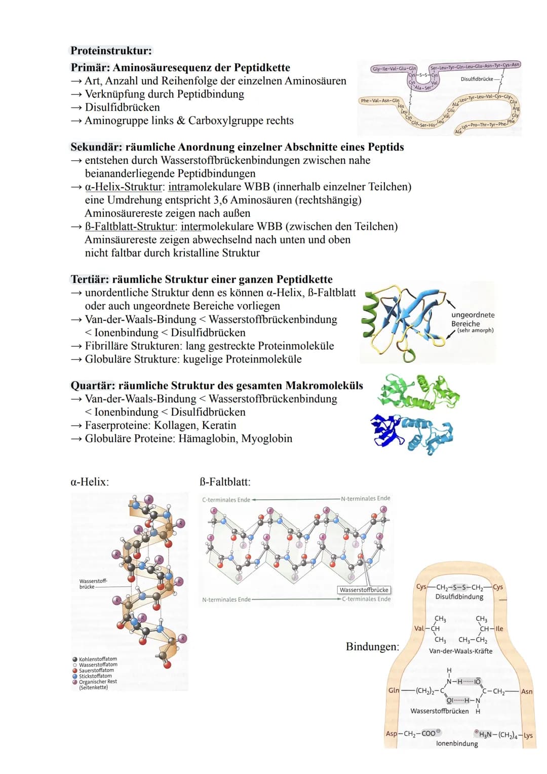 Aminosäure
Strukturformel:
COOH
I
H₂N-C-H
I
R
L-Aminosäure
COOH
I
H-C-NH2
T
R
D-Aminosäure/
kommt in der Natur vor / Aminogruppe ist in der 