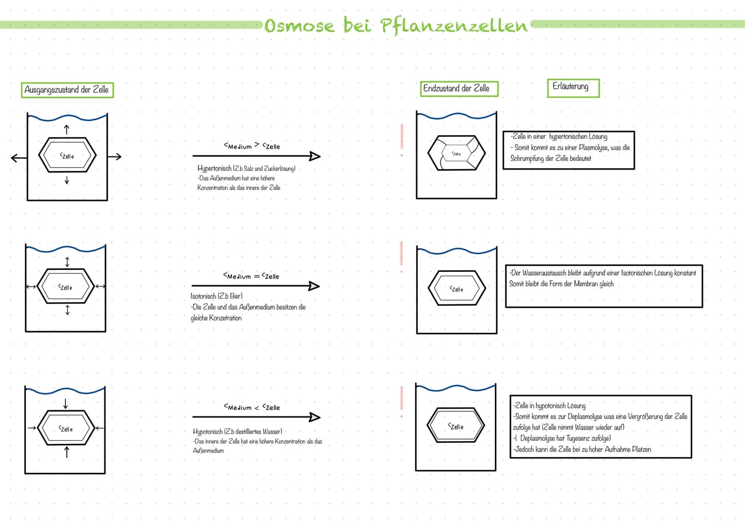 Was ist eine Biomembran?
-Ist die Trennschicht, welche ein Zellkompartiment umgibt.
-Sie grenzt den Innenraum der Zelle in Form einer Zellme