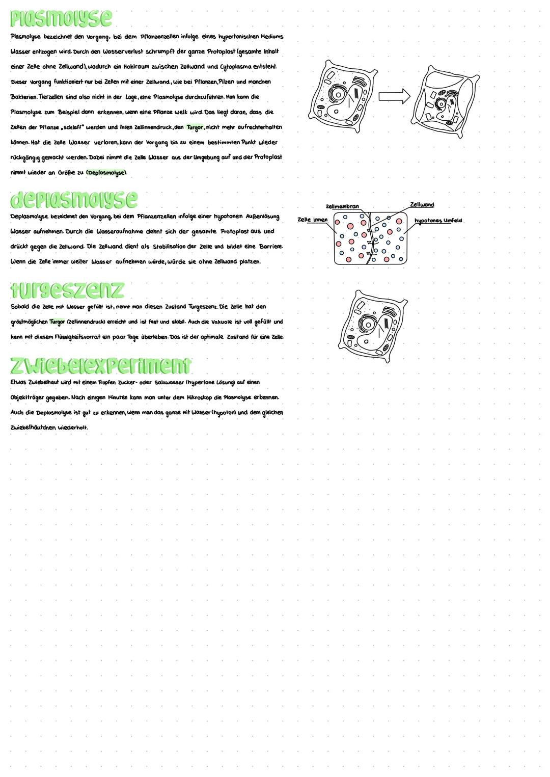 diffusion
Diffusion ist eine Form des passiven Stofftransports. Die Teilchen unterliegen der Brown'schen Molekularbewegung.
Es kommt also zu