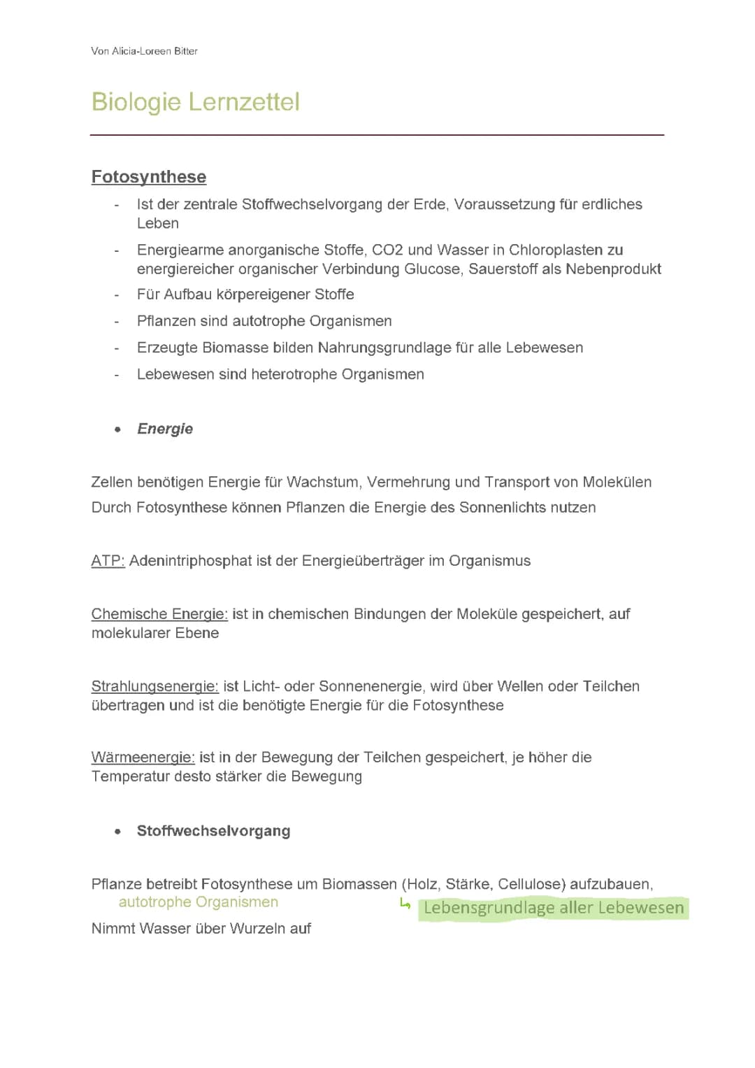 Fotosynthese Abitur Aufgaben und Lösungen – Dein Lernzettel für Biologie 2024