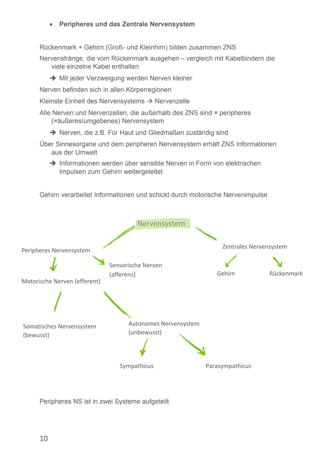 Von Alicia-Loreen Bitter
Biologie Lernzettel
Fotosynthese
Ist der zentrale Stoffwechselvorgang der Erde, Voraussetzung für erdliches
Leben
E