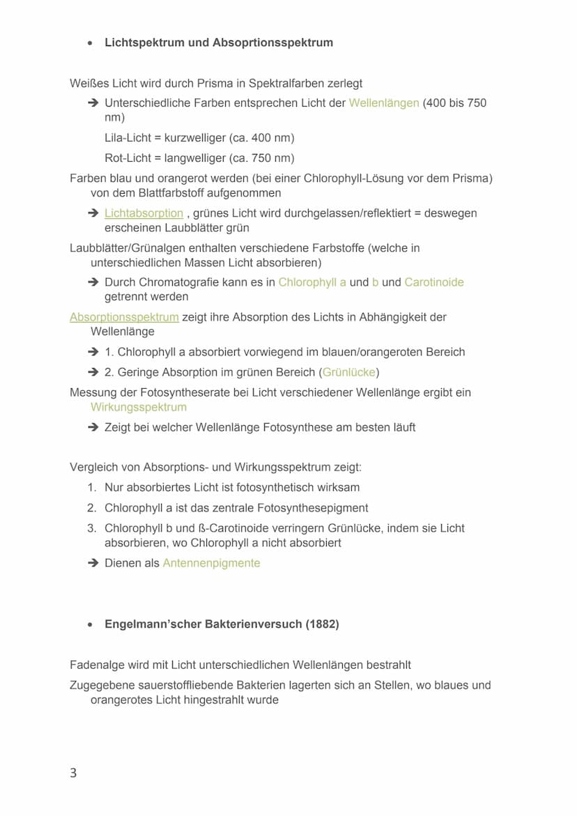 Von Alicia-Loreen Bitter
Biologie Lernzettel
Fotosynthese
Ist der zentrale Stoffwechselvorgang der Erde, Voraussetzung für erdliches
Leben
E