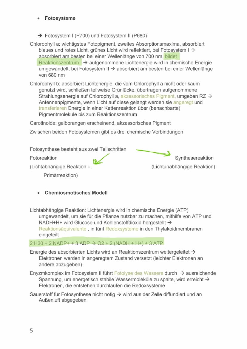 Von Alicia-Loreen Bitter
Biologie Lernzettel
Fotosynthese
Ist der zentrale Stoffwechselvorgang der Erde, Voraussetzung für erdliches
Leben
E