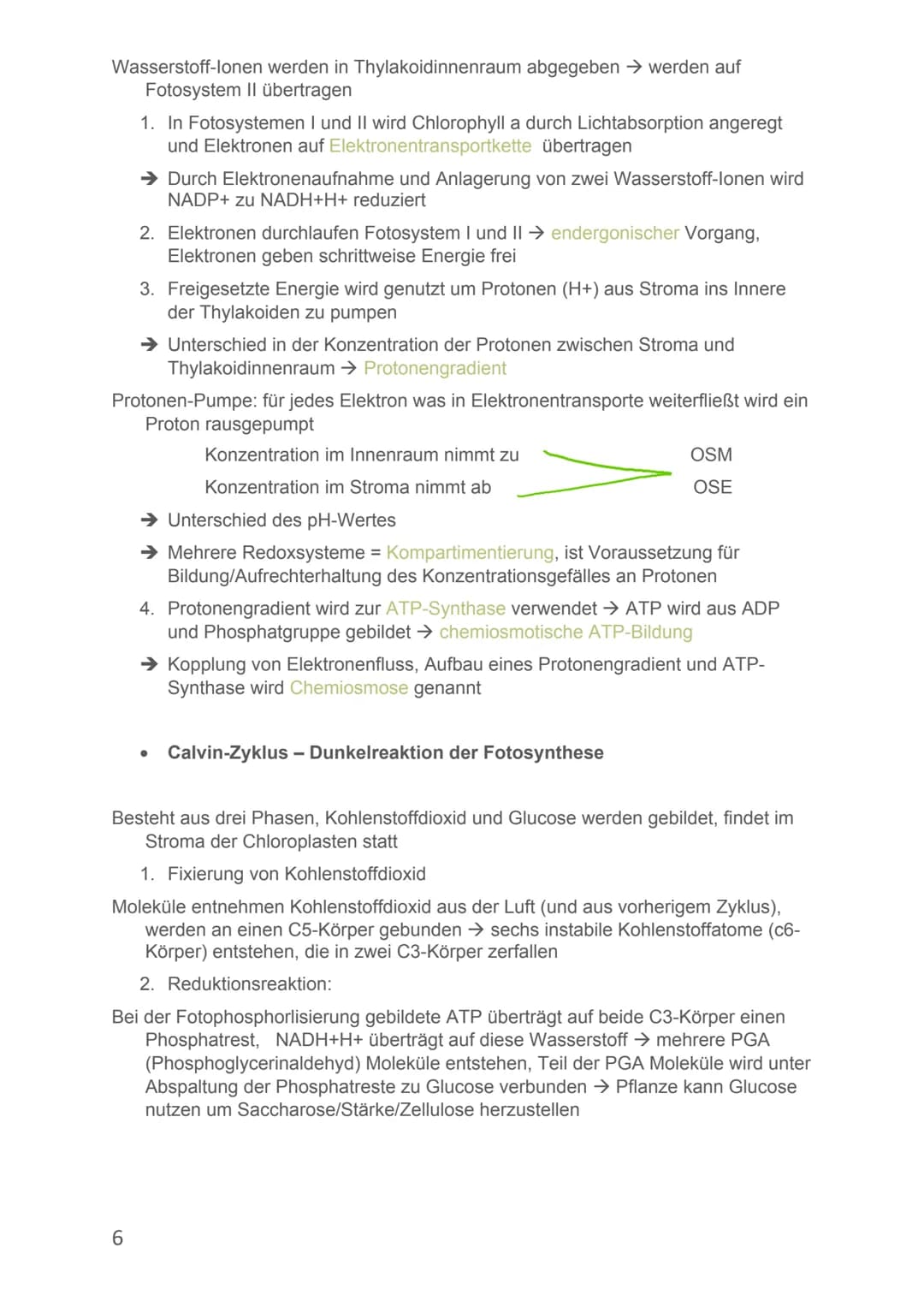 Von Alicia-Loreen Bitter
Biologie Lernzettel
Fotosynthese
Ist der zentrale Stoffwechselvorgang der Erde, Voraussetzung für erdliches
Leben
E