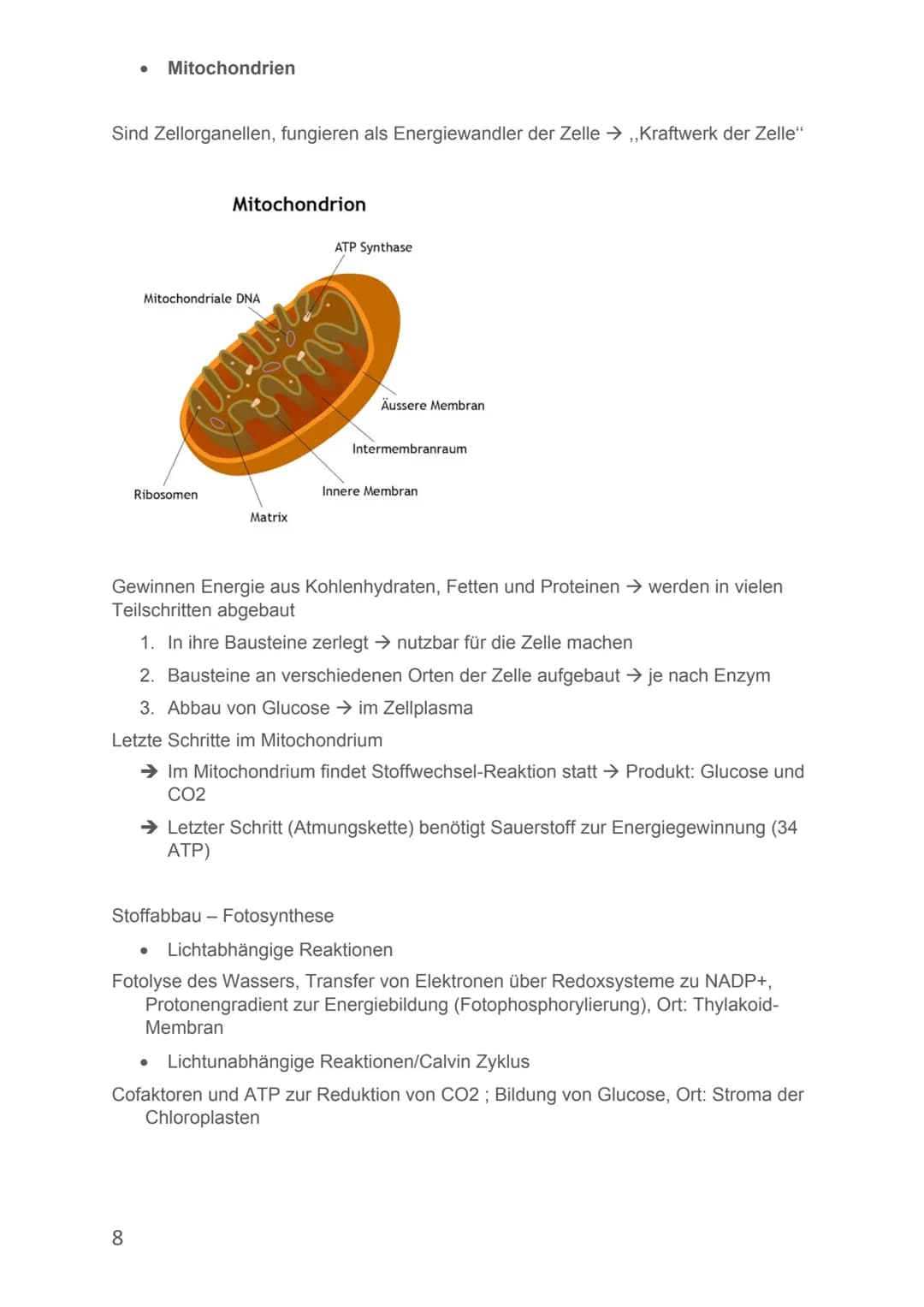 Von Alicia-Loreen Bitter
Biologie Lernzettel
Fotosynthese
Ist der zentrale Stoffwechselvorgang der Erde, Voraussetzung für erdliches
Leben
E