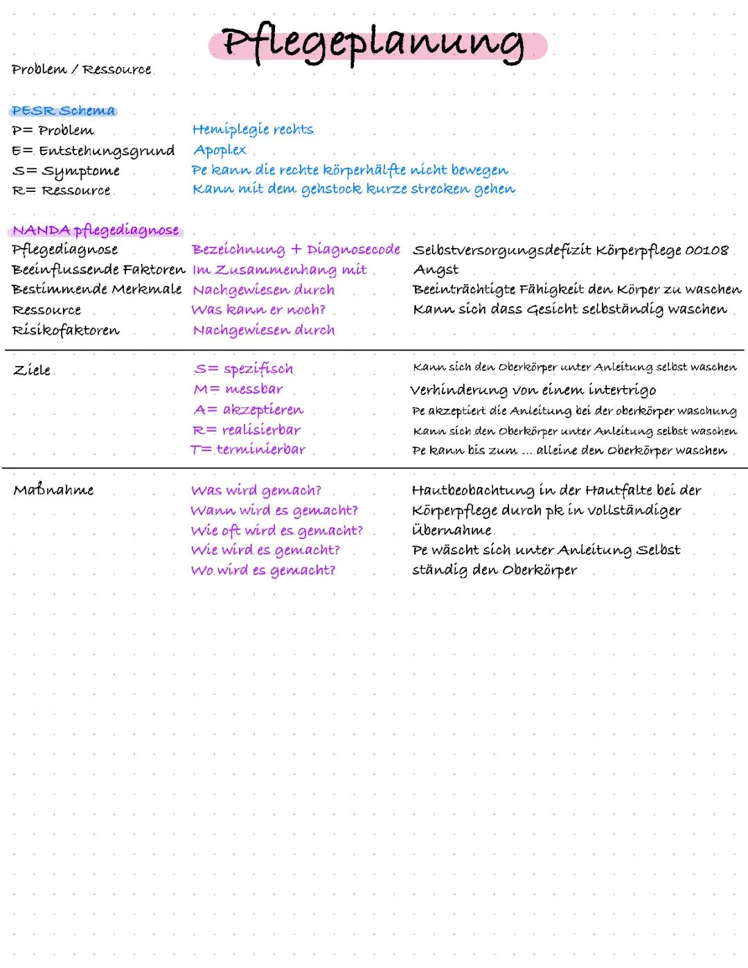 Zusammenfassung Pflegeplanung