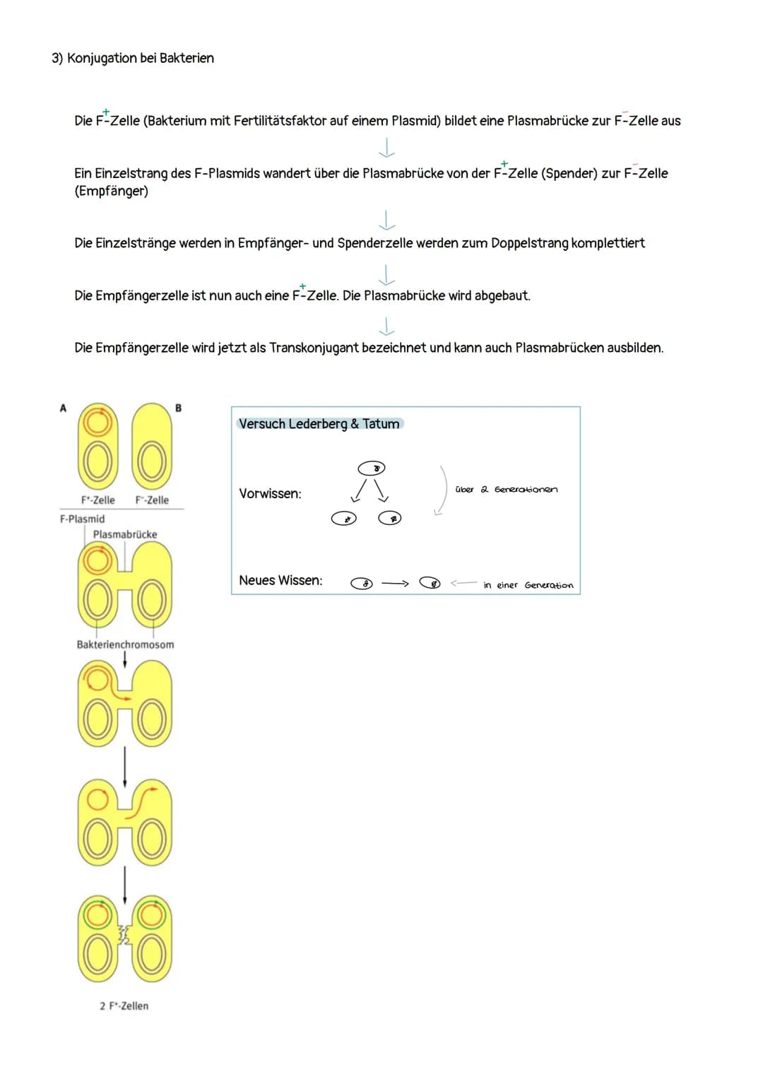 Vergleich von ...
Konventioneller Züchtung
- umgerichtete Veränderung des Erbguts
- langsame Veränderung des Erbguts
- die Erwachsenen Lebew