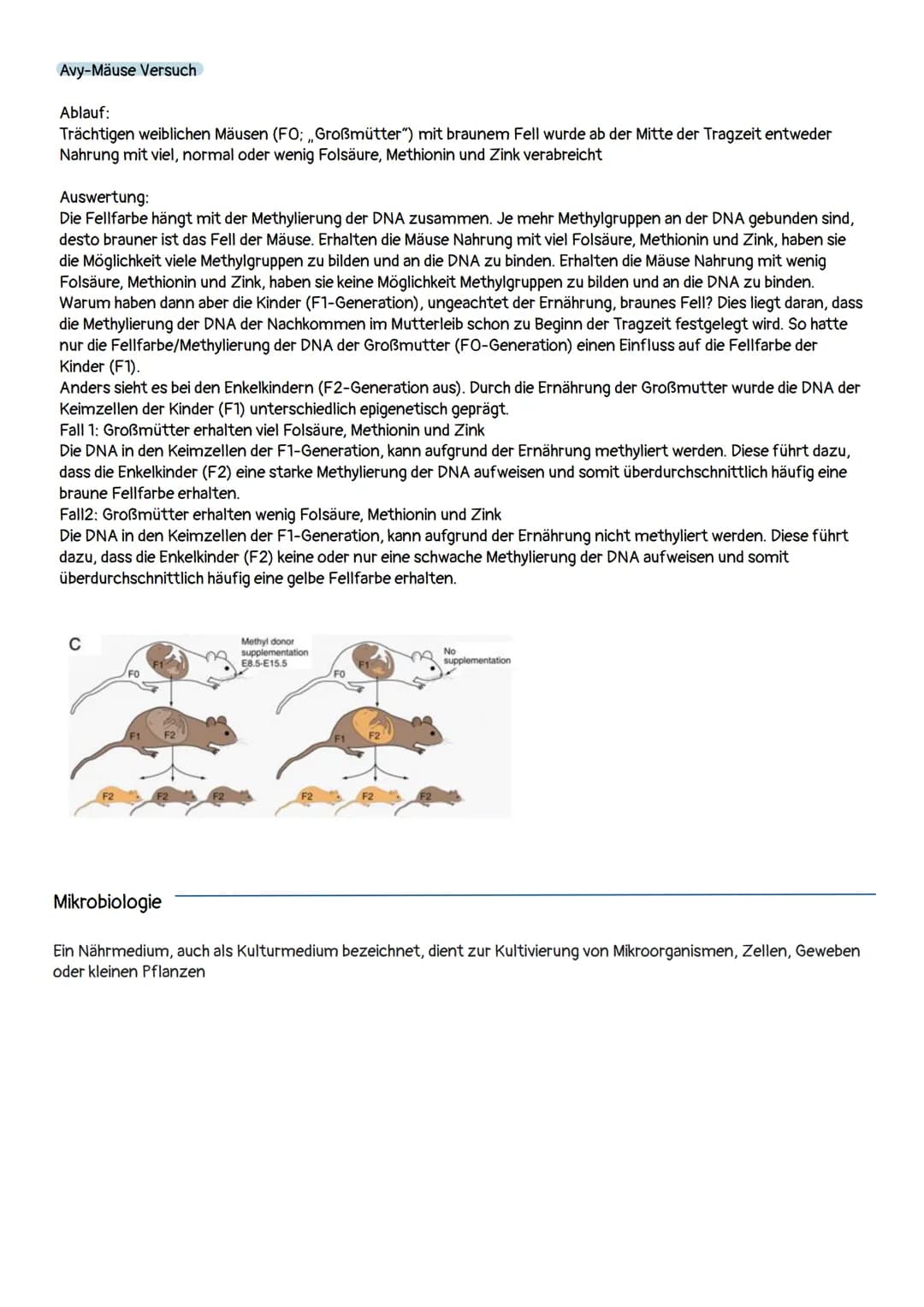 Vergleich von ...
Konventioneller Züchtung
- umgerichtete Veränderung des Erbguts
- langsame Veränderung des Erbguts
- die Erwachsenen Lebew