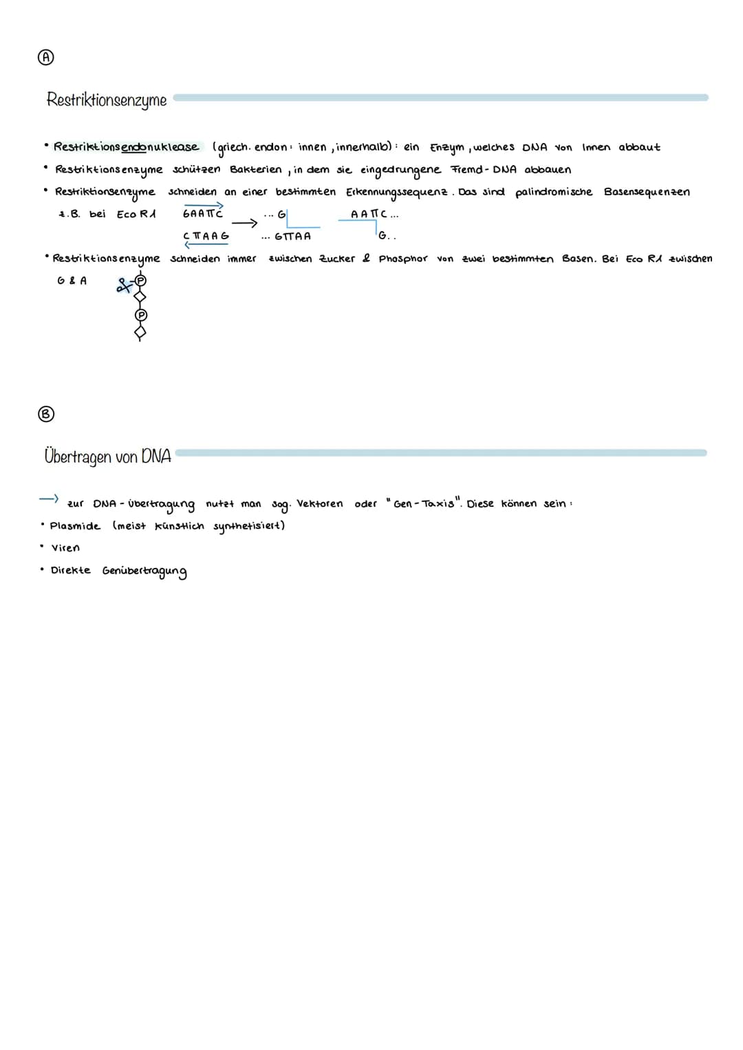 Vergleich von ...
Konventioneller Züchtung
- umgerichtete Veränderung des Erbguts
- langsame Veränderung des Erbguts
- die Erwachsenen Lebew