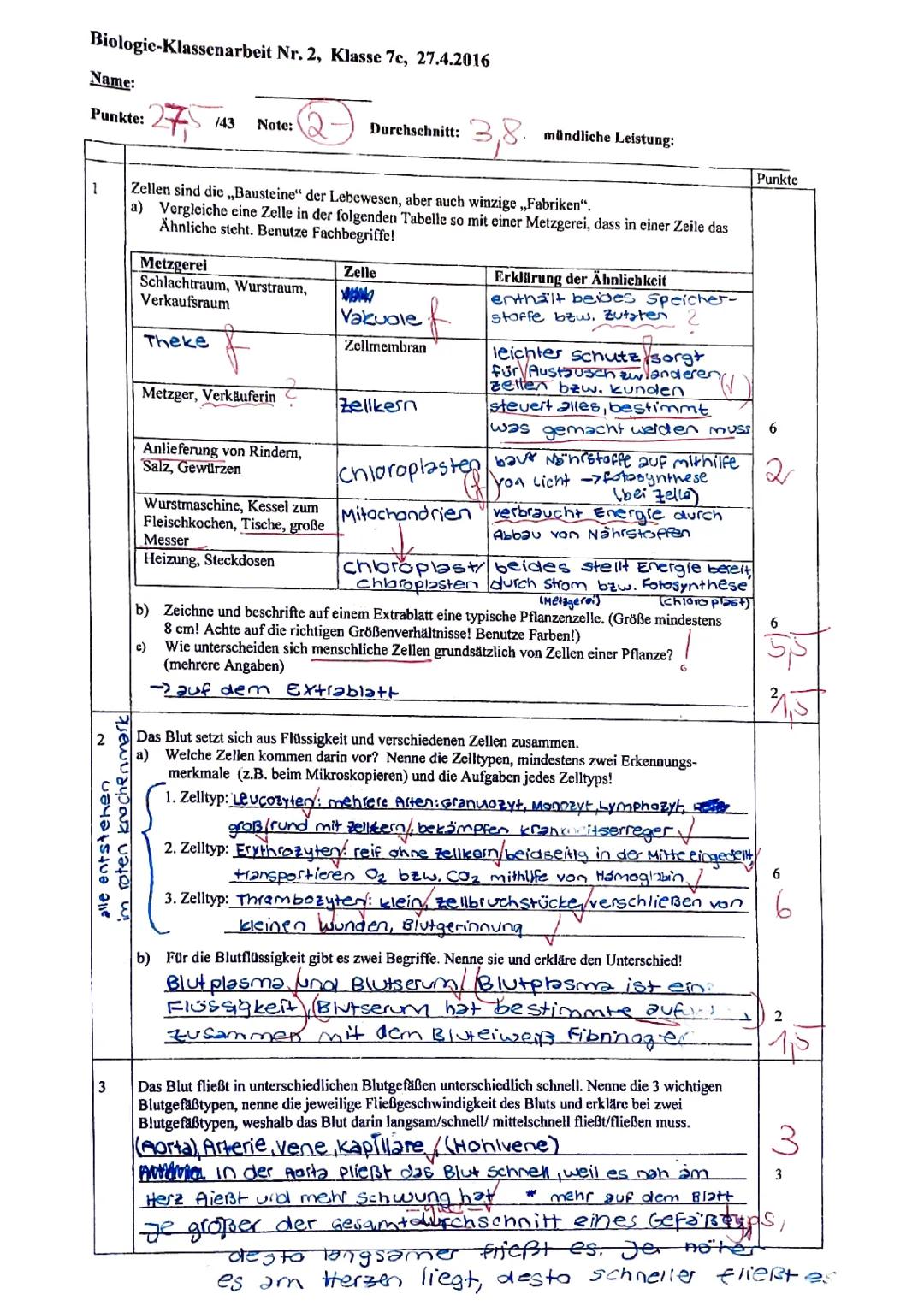 Klassenarbeit Biologie Klasse 7: Blutkreislauf, Zellen und Mikroskop