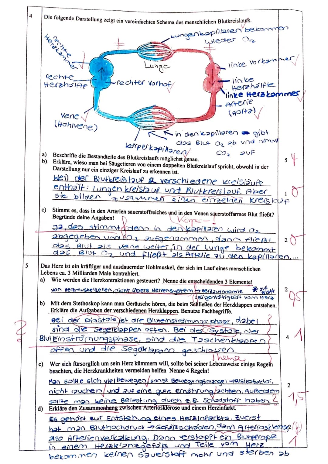 Biologie-Klassenarbeit Nr. 2, Klasse 7c, 27.4.2016
Name:
Punkte:
1
2
alle entstehen
3
Gayos at
27
/43
Theke
Note:
Metzgerei
Schlachtraum, Wu