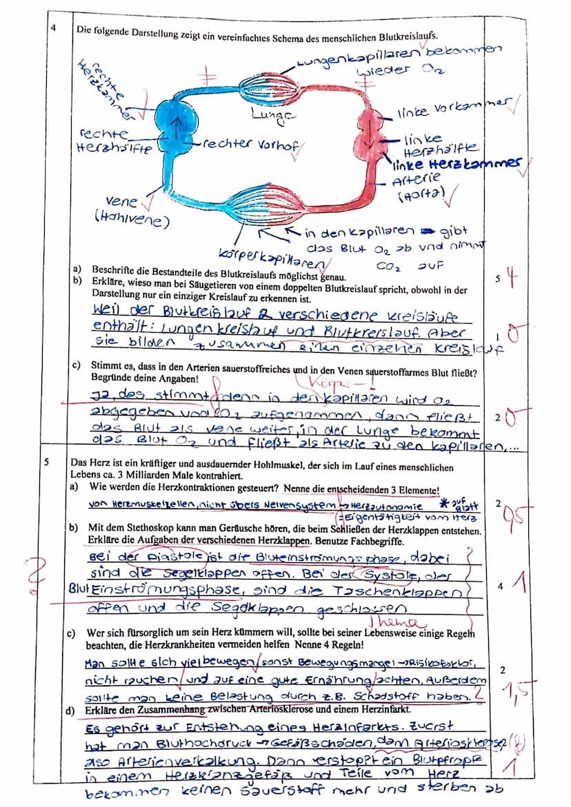 Biologie-Klassenarbeit Nr. 2, Klasse 7c, 27.4.2016
Name:
Punkte:
1
2
alle entstehen
3
Gayos at
27
/43
Theke
Note:
Metzgerei
Schlachtraum, Wu