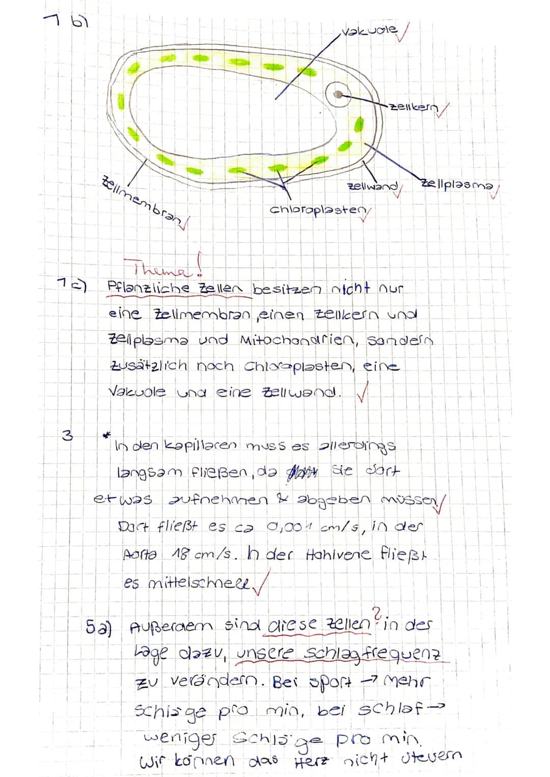 Biologie-Klassenarbeit Nr. 2, Klasse 7c, 27.4.2016
Name:
Punkte:
1
2
alle entstehen
3
Gayos at
27
/43
Theke
Note:
Metzgerei
Schlachtraum, Wu