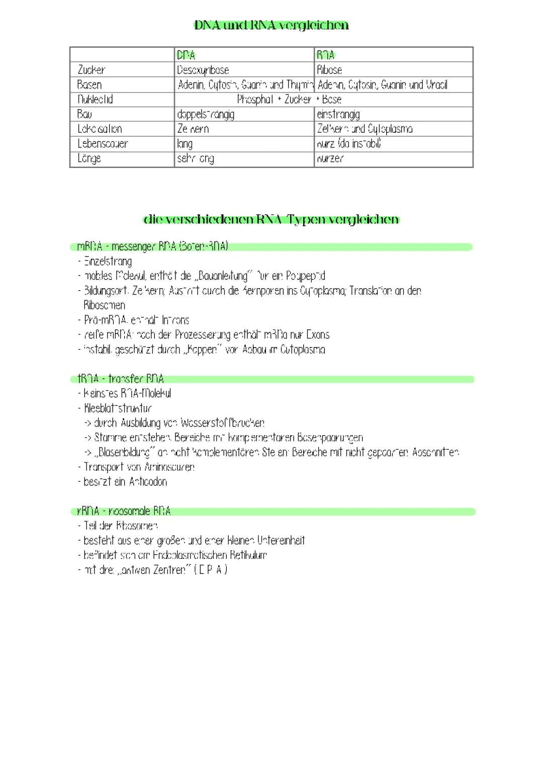 Vergleich DNA und RNA + verschiedene RNA-Typen
