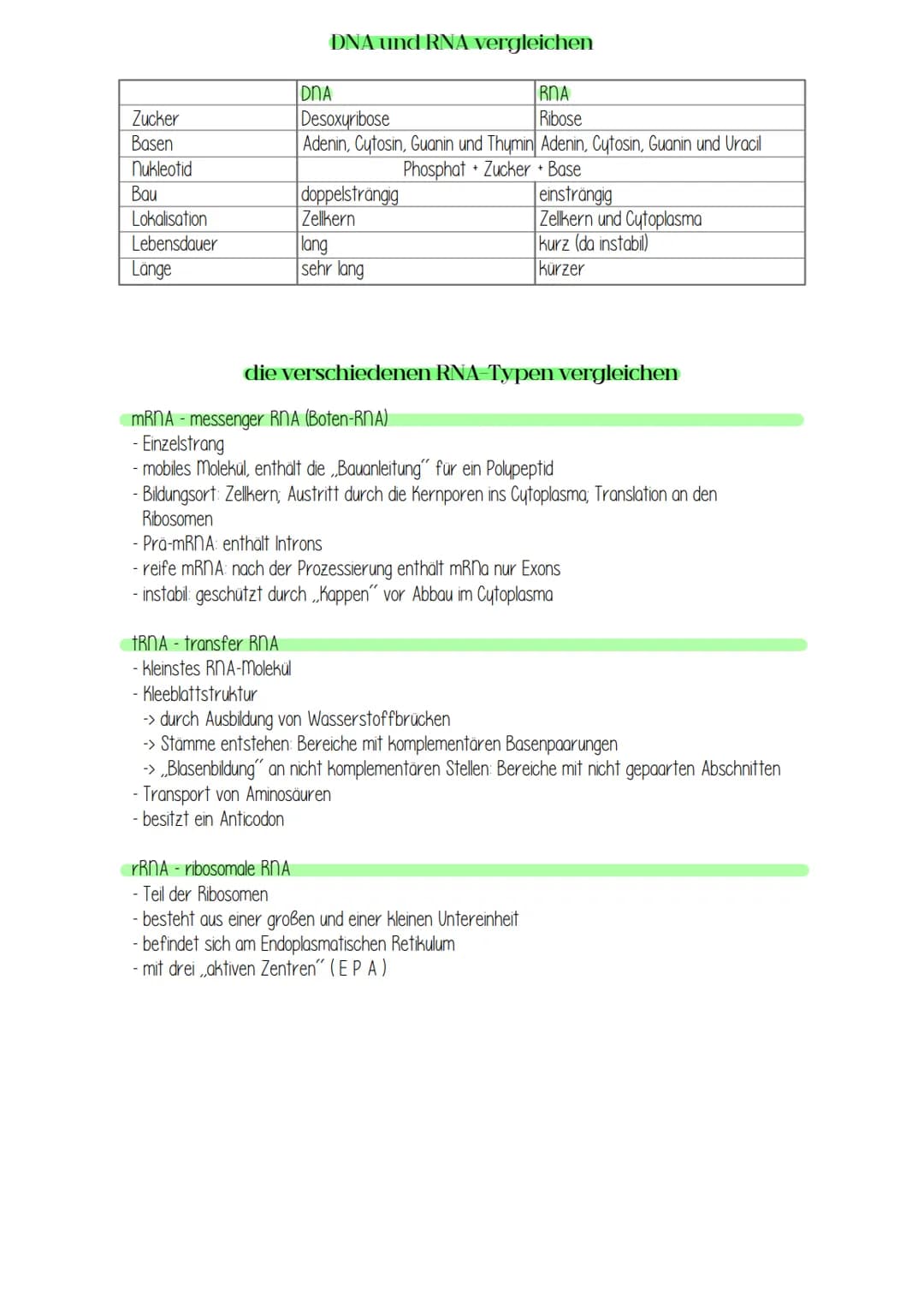 Zucker
Basen
nukleotid
Bau
Lokalisation
Lebensdauer
Länge
DNA und RNA vergleichen
IDNA
RNA
Desoxyribose
Ribose
Adenin, Cytosin, Guanin und T