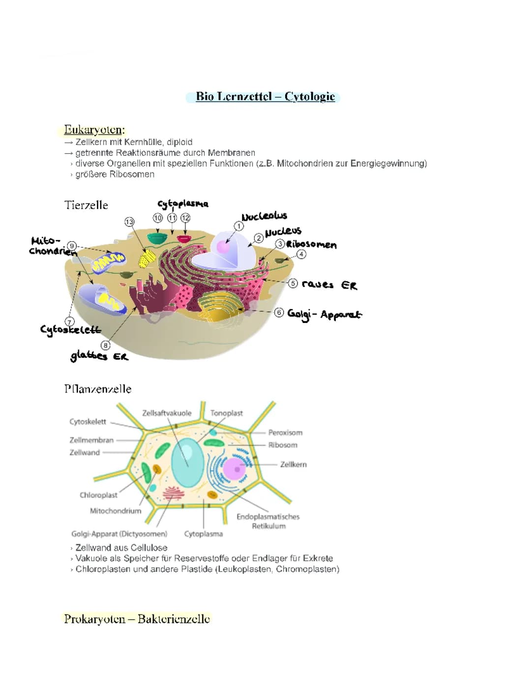 Cytologie Lernzettel: Vergleich von Prokaryoten und Eukaryoten