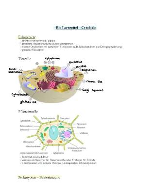 Know Lernzettel Cytologie  thumbnail