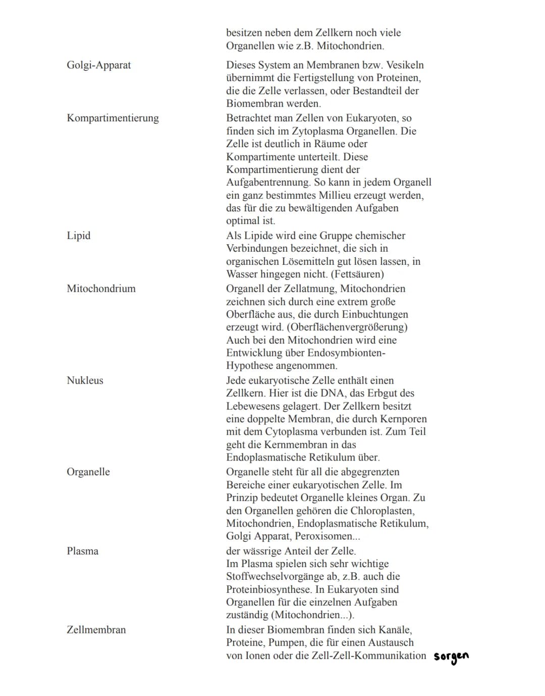 Eukaryoten:
→ Zellkern mit Kernhülle, diploid
→getrennte Reaktionsräume durch Membranen
→ diverse Organellen mit speziellen Funktionen (z.B.