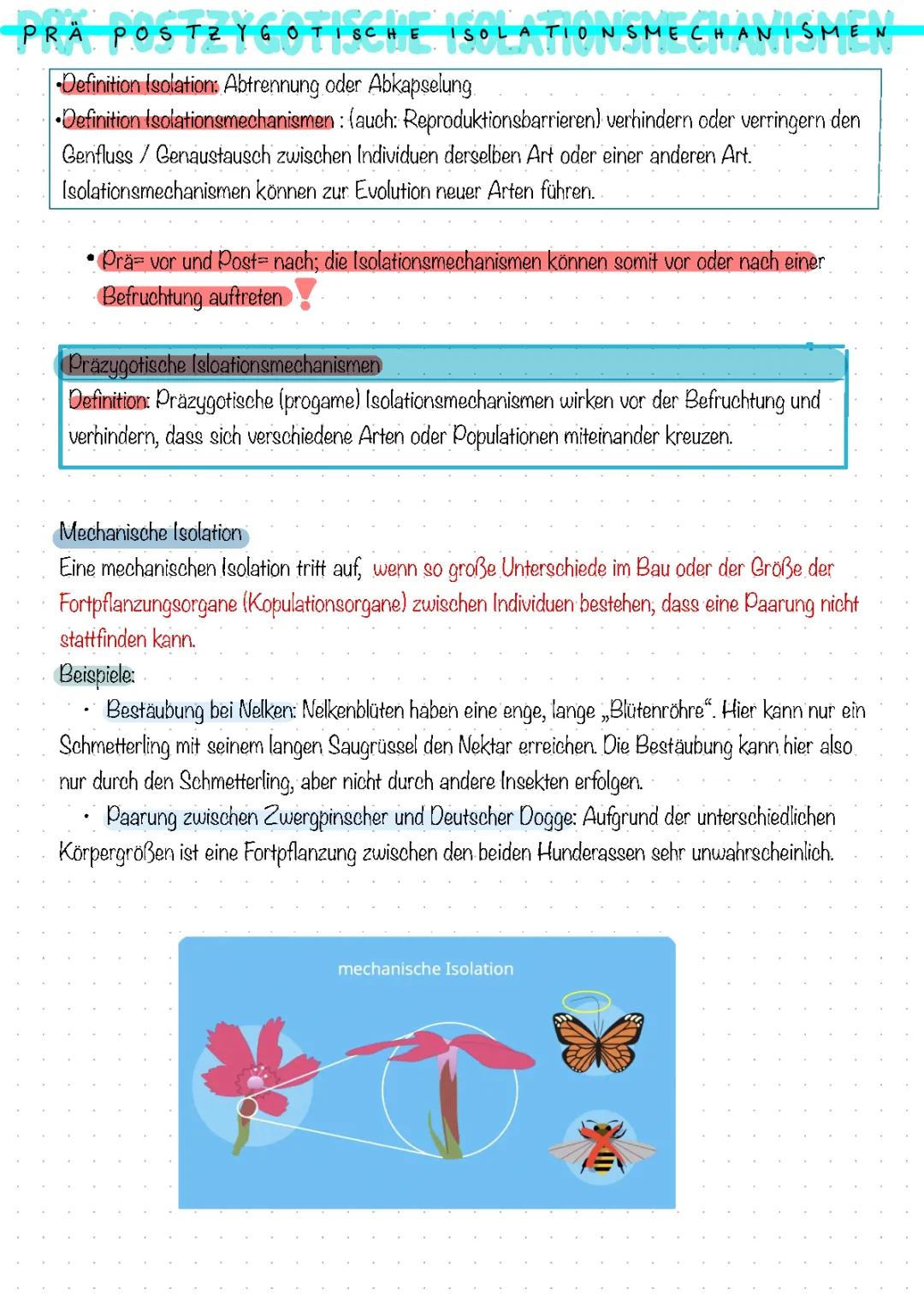 Wie Pflanzen Freunde finden: Mechanische Isolationsmechanismen und Tierarten