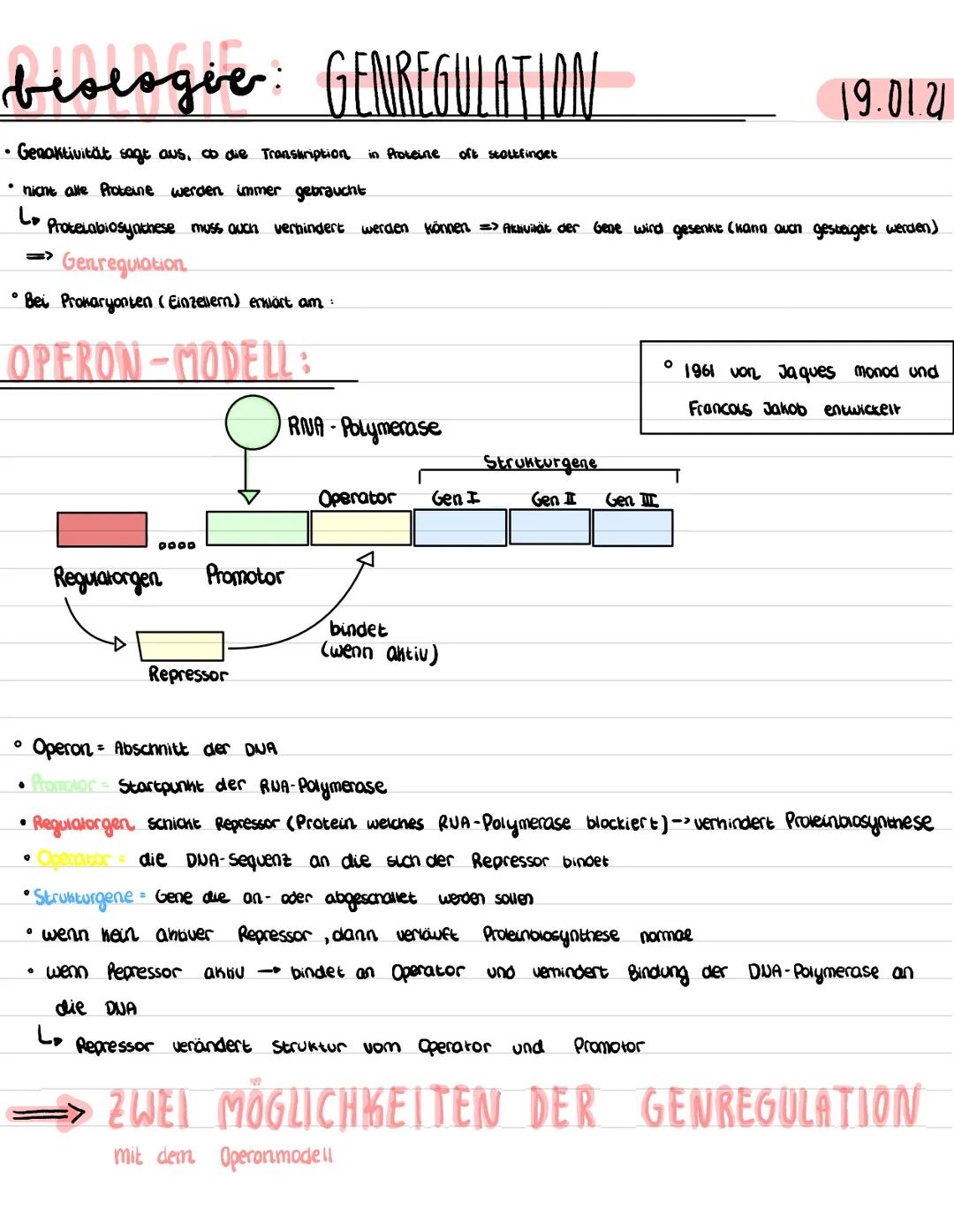 # beologie: GENREGULATION

• Genaktivität sagt aus, ob die Transkription in Pokeine oft stolkfinget

• nicht alle Proteine werden immer gebr