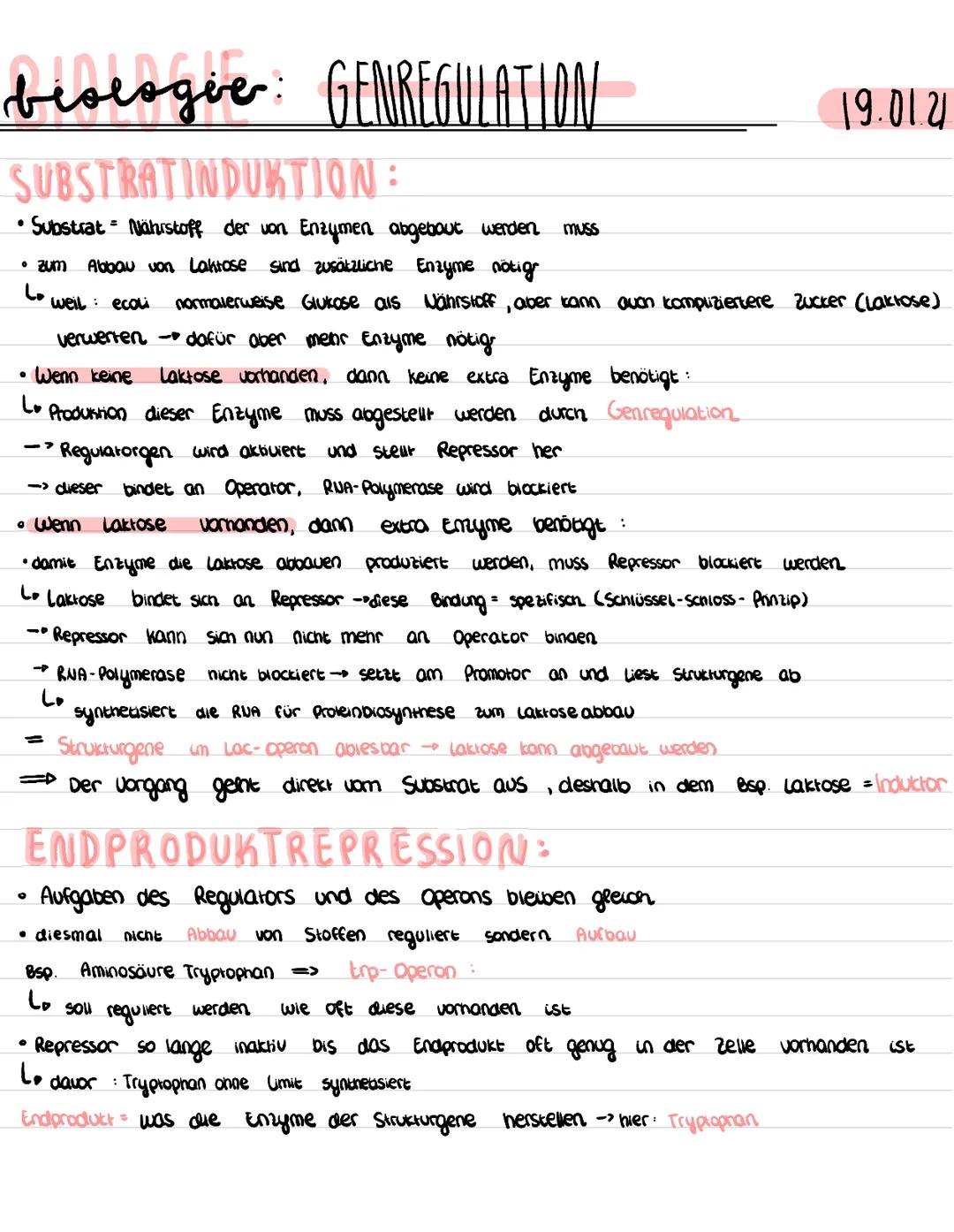 # beologie: GENREGULATION

• Genaktivität sagt aus, ob die Transkription in Pokeine oft stolkfinget

• nicht alle Proteine werden immer gebr