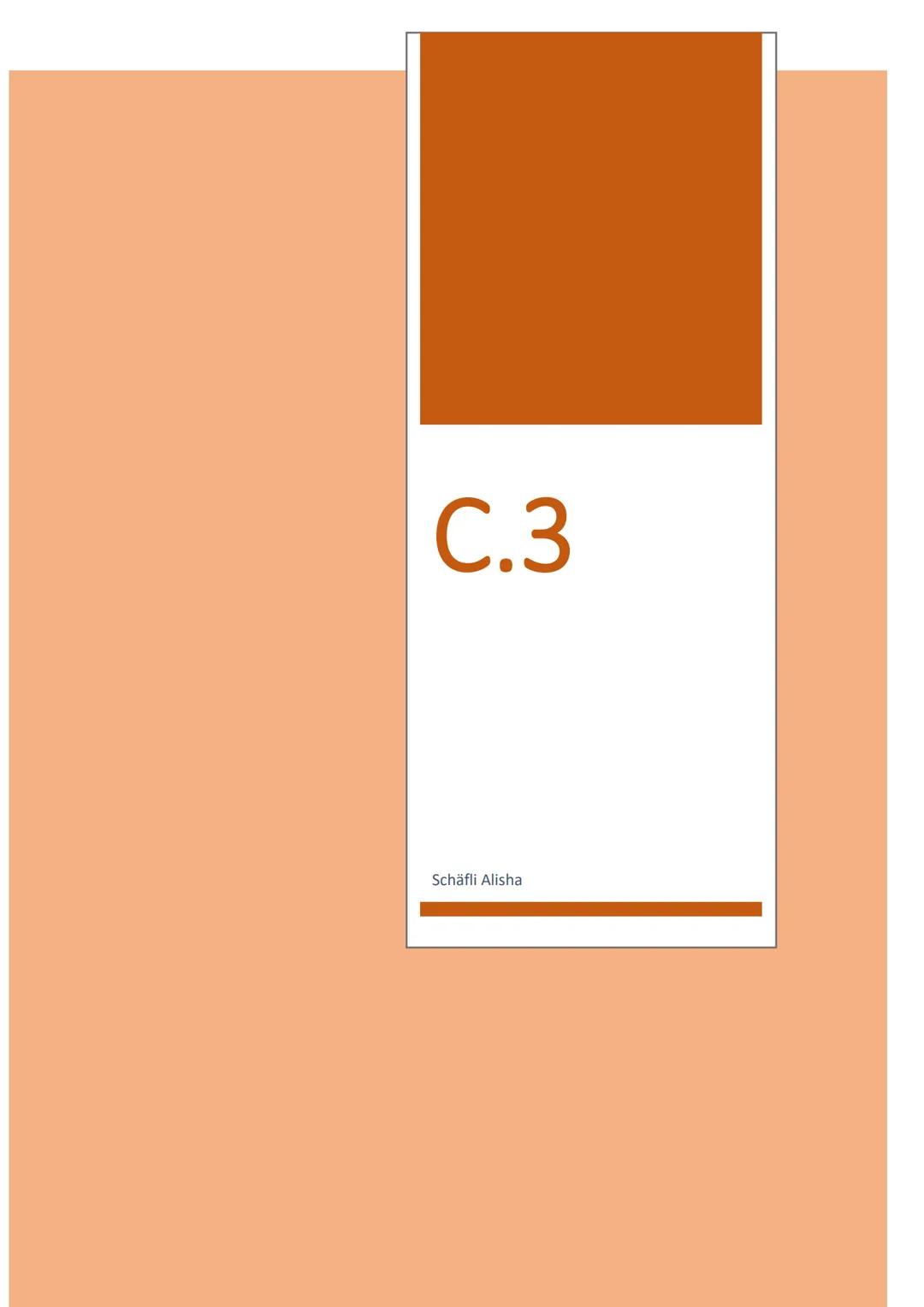 C.3

Schäfli Alisha Inhalt
1 Grundlagen ....................................................................................................