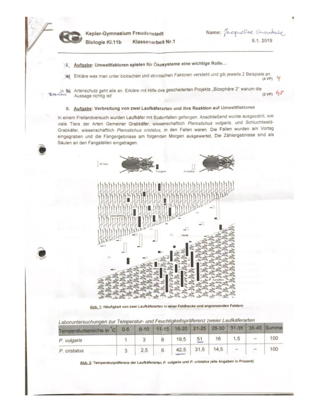 Die wichtigsten biotischen und abiotischen Faktoren + Beispiele