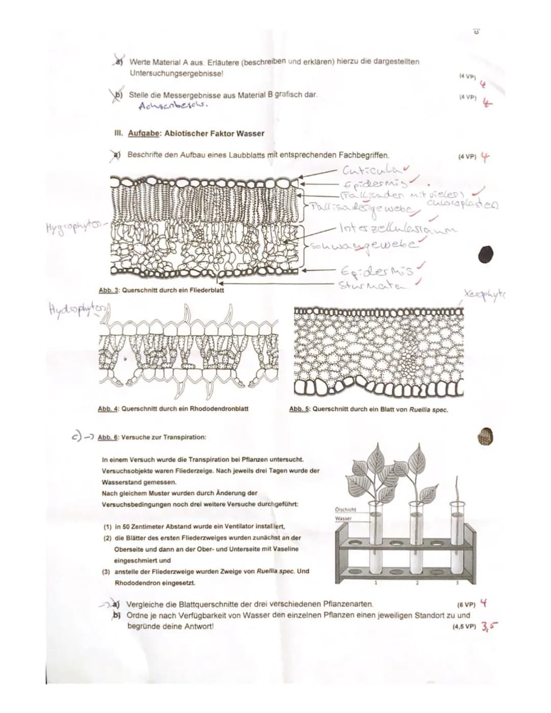 Kepler-Gymnasium Freudenstadt
Biologie Kl.11b Klassenarbeit Nr.1
Aufgabe: Umweltfaktoren spielen für Ökosysteme eine wichtige Rolle...
a) Er