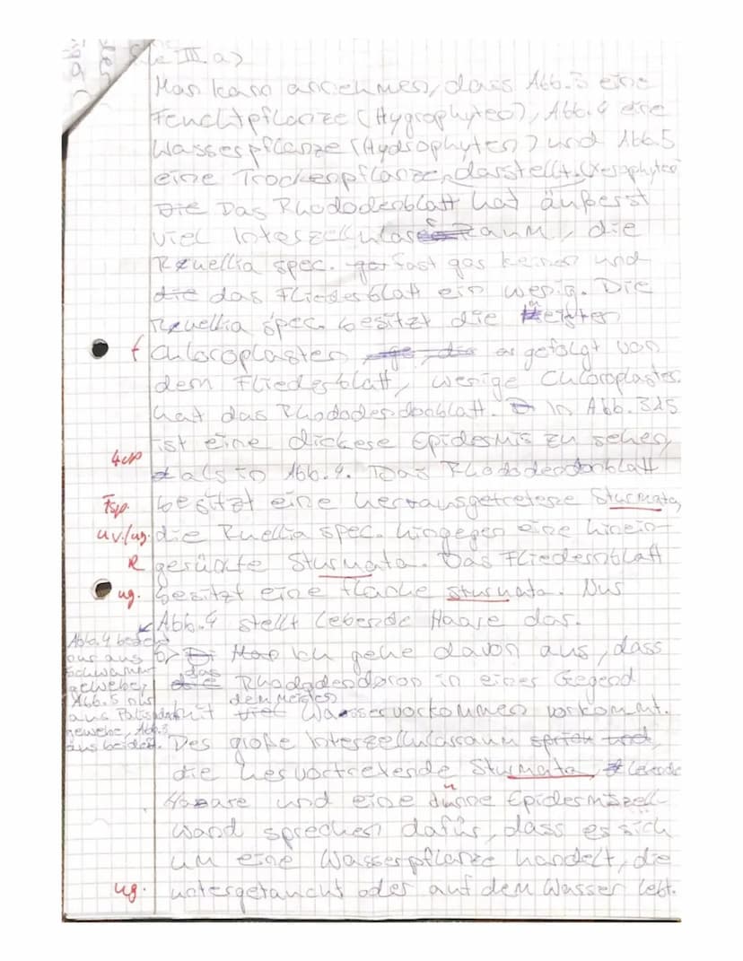 Kepler-Gymnasium Freudenstadt
Biologie Kl.11b Klassenarbeit Nr.1
Aufgabe: Umweltfaktoren spielen für Ökosysteme eine wichtige Rolle...
a) Er