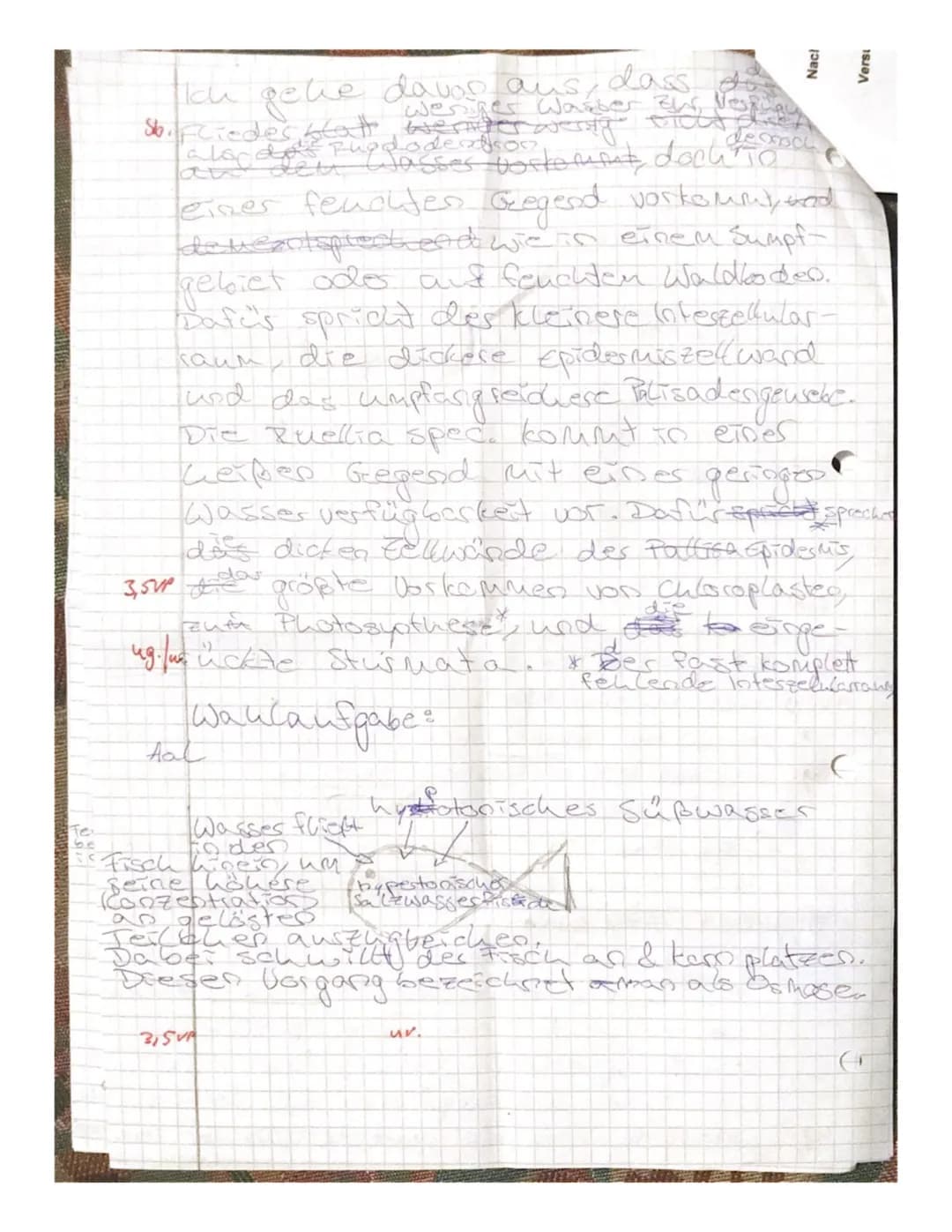 Kepler-Gymnasium Freudenstadt
Biologie Kl.11b Klassenarbeit Nr.1
Aufgabe: Umweltfaktoren spielen für Ökosysteme eine wichtige Rolle...
a) Er