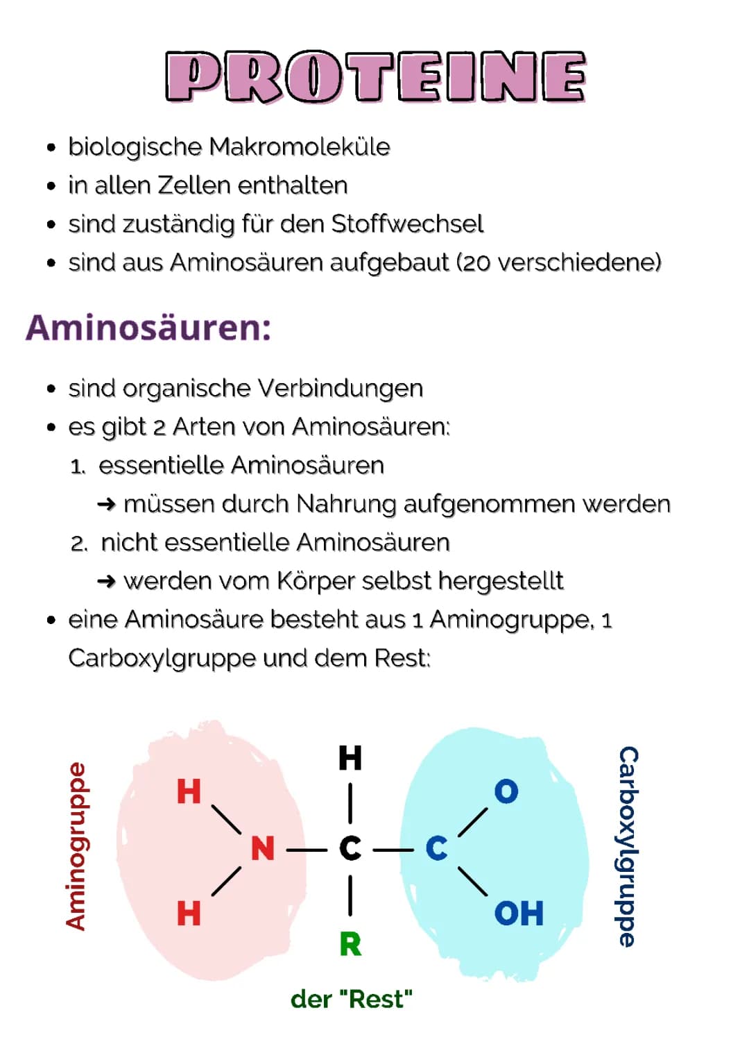 Proteine