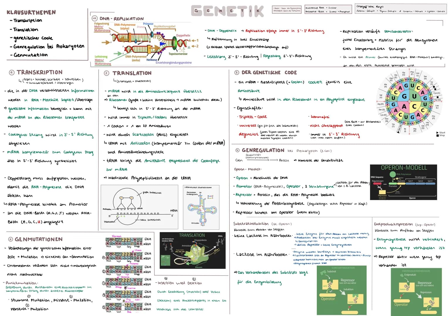 KLAUSURTHEMEN
- Transkription
- Translation
-genetischer code
-Genregulation bei Prokaryoten
- Genmutation
TRANSKRIPTION
L (trans hinüber; s