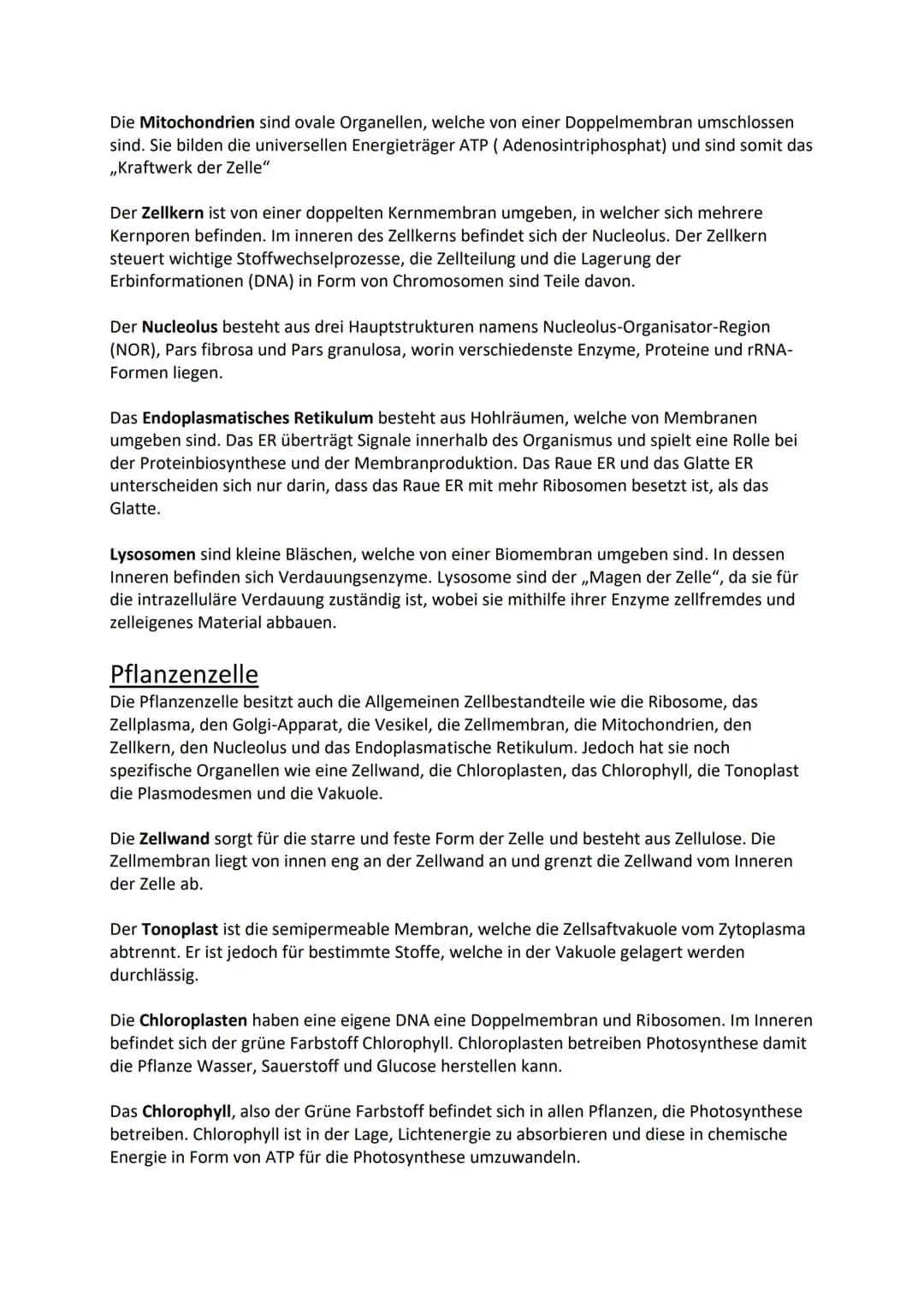 Zellen. Die Grundbausteine jedes Lebewesens, welche sich in Form, Größe
und Funktion unterscheiden. Doch was unterscheidet sie genau und was