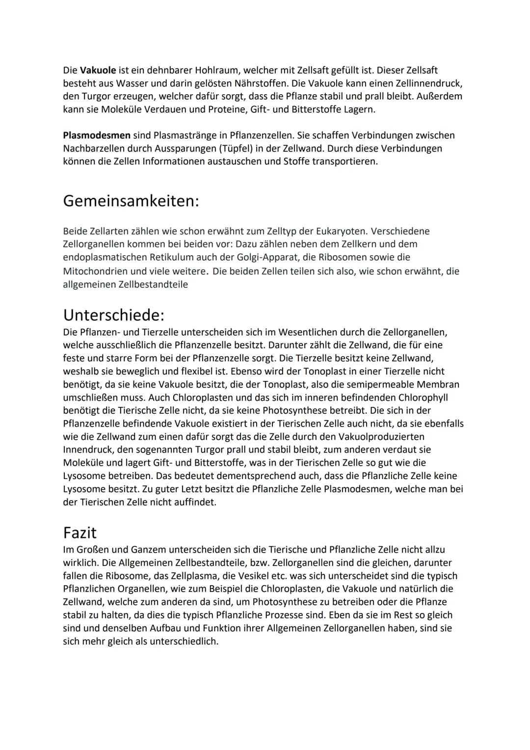 Zellen. Die Grundbausteine jedes Lebewesens, welche sich in Form, Größe
und Funktion unterscheiden. Doch was unterscheidet sie genau und was