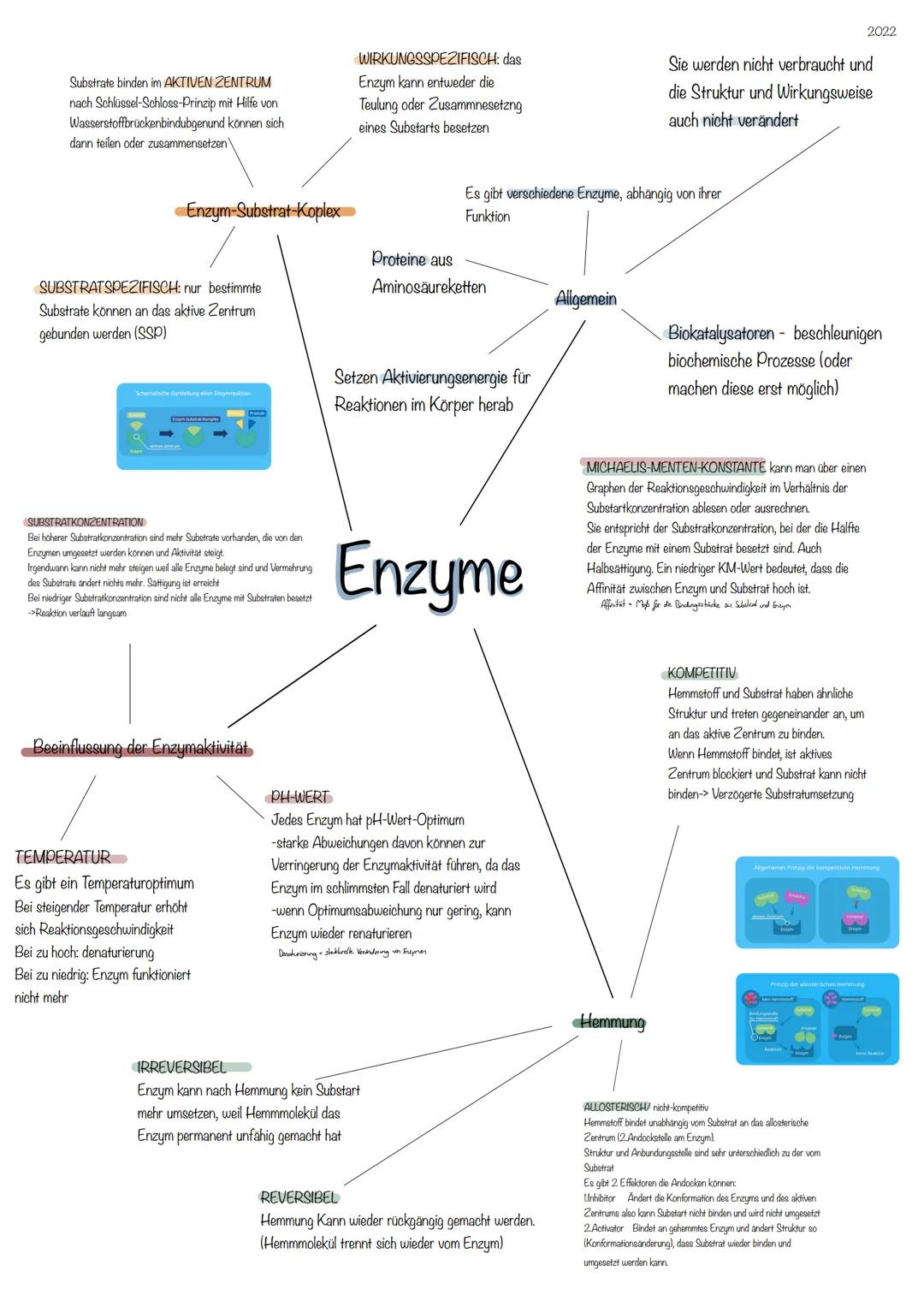 2022

Substrate binden im AKTIVEN ZENTRUM
nach Schlüssel-Schloss-Prinzip mit Hilfe von
Wasserstoffbrückenbindubgenund können sich
dann teile
