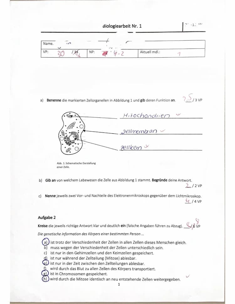 Know Klassenarbeit Zellbiologie thumbnail