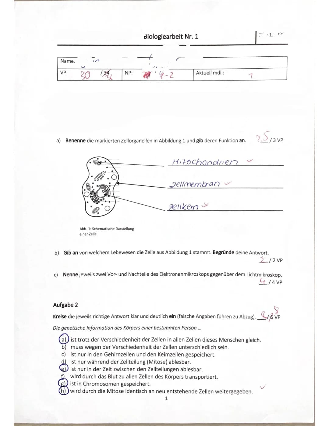 Klassenarbeit Zellbiologie