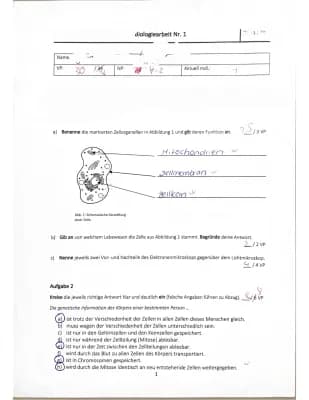 Know Klassenarbeit Zellbiologie thumbnail